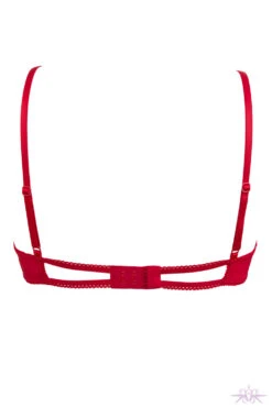 Maison Close Le Petit Secret Red Cupless Bra With Bow -Glamour Lace Shop Mayfair Stockings maison close petit red 609494 ghost 2 web Edit