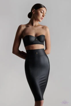 Maison Close Chambre Noire Skirt 18 Maison Close Chambre Noire Skirt -Glamour Lace Shop Mayfair Stockings561429 2022 chambre noire 0873 76