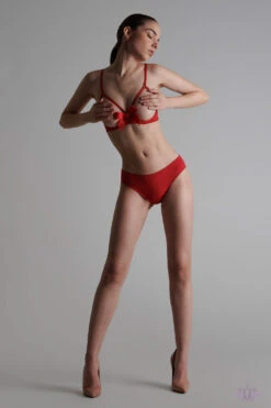 Maison Close Le Petit Secret Red Cupless Bra With Bow -Glamour Lace Shop Mayfair Stockings609494 petit secret 005621 720x1080 crop center 2x 73