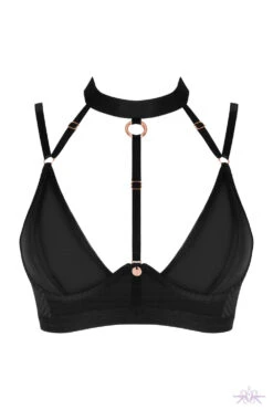 Obsessive Brasica Black Bra 17 Obsessive Brasica Black Bra -Glamour Lace Shop Mayfair StockingsObsessive brasica bra pwf 3