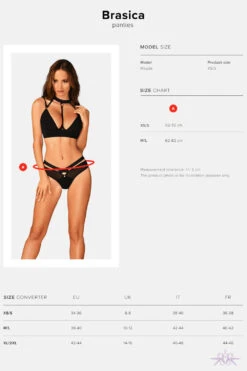 Obsessive Brasica Black Briefs -Glamour Lace Shop Mayfair StockingsObsessive brasica panties 24