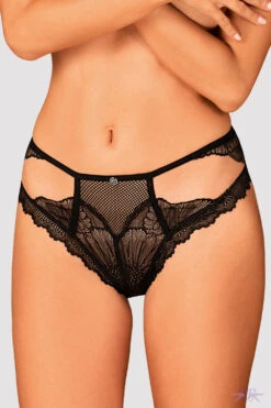 Obsessive Mibelia Briefs 15 Obsessive Mibelia Briefs -Glamour Lace Shop Mayfair StockingsObsessive mibelia panties 2 frf 23