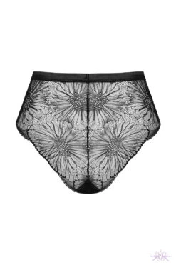 Obsessive Mibelia Briefs 18 Obsessive Mibelia Briefs -Glamour Lace Shop Mayfair StockingsObsessive mibelia panties pwb 2