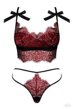 Obsessive Redessia Two Piece Set 17 Obsessive Redessia Two Piece Set -Glamour Lace Shop Mayfair StockingsObsessive redessia top thong packshot 37