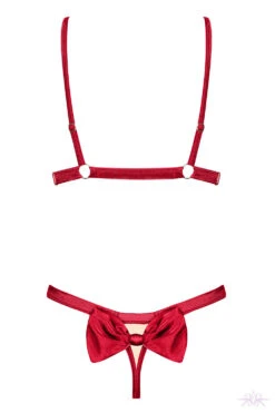 Obsessive Rubinesa Cupless 2 Piece Set -Glamour Lace Shop Mayfair StockingsObsessive rubinesa set back packshot 22