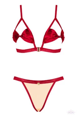 Obsessive Rubinesa Cupless 2 Piece Set -Glamour Lace Shop Mayfair StockingsObsessive rubinesa set packshot 21