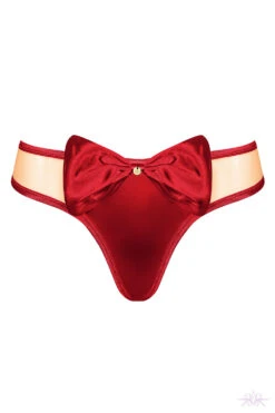 Obsessive Rubinesa Thong -Glamour Lace Shop Mayfair StockingsObsessive rubinesa thong packshot 25